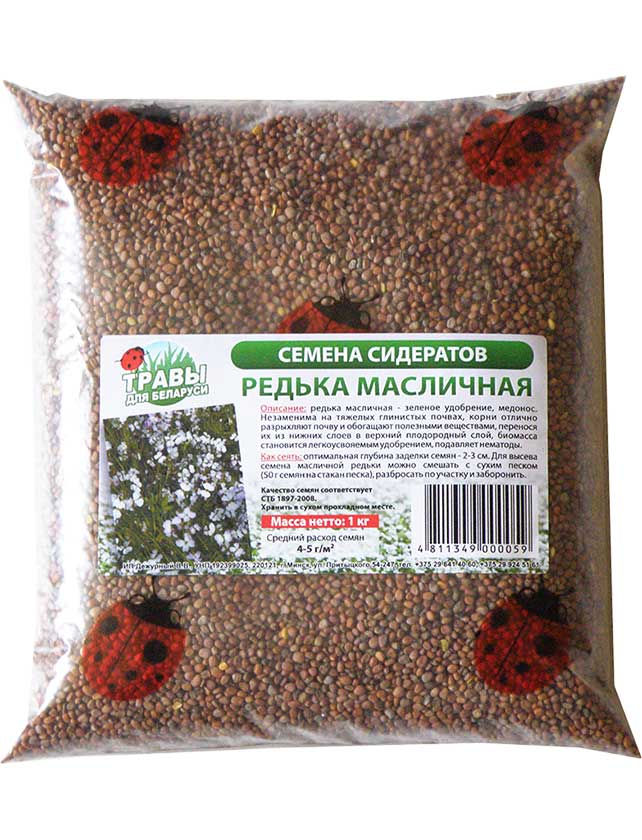 Редька масличная семена фото